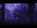 Pastel Ghost Shadows Slowed Reverb