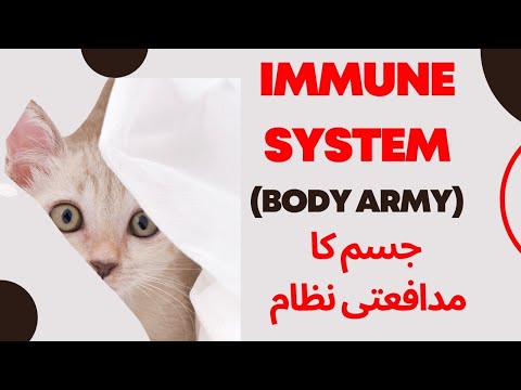 Your Cat's Inner Life: White Blood Cells || Body Immune system || Video-3 -- Animalia Dot Pk