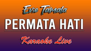 Download lagu KARAOKE PERMATA HATI EVIE TAMALA mp3