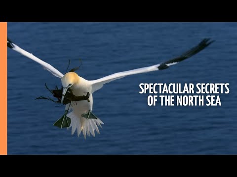 Spectacular Secrets of the North Sea | Full Documentary