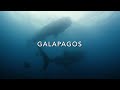 Trailer - Galapagos