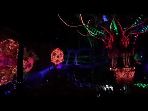 Modem Festival 2019 Megalopsy (part 1)