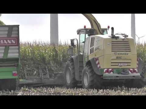 Maishäckseln 2015 XL mit Krone Big X 850