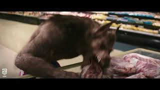 Arabic Remix (Inta Eyh - Nancy Ajram) // Arabic Song // Warewolf In Aisle 2 (Goosebumps)