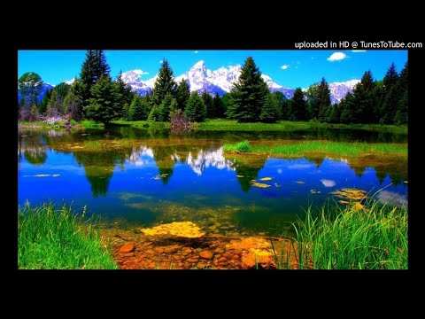 Sdudla Noma1000 Ft DeepSound Crew - Yellow