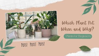 Let's talk Plant Pots! Which one, when and why? | Plants for Beginners