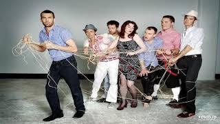 Hidden Cameras - Animals Of Prey