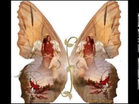 borboleta de Deus  voz da verdade