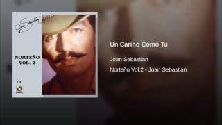 Joan Sebastian - Un Cariño Como Tu (Audio)