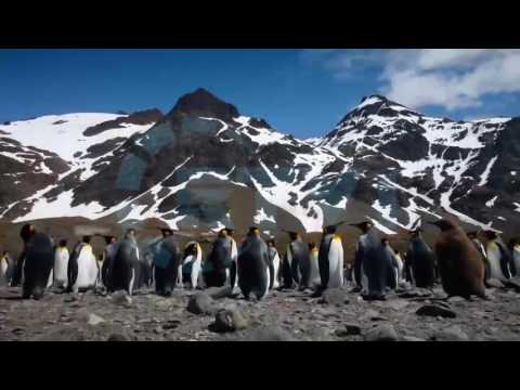 Mos u trishto - Jini të kënaqur me Allahun - 60