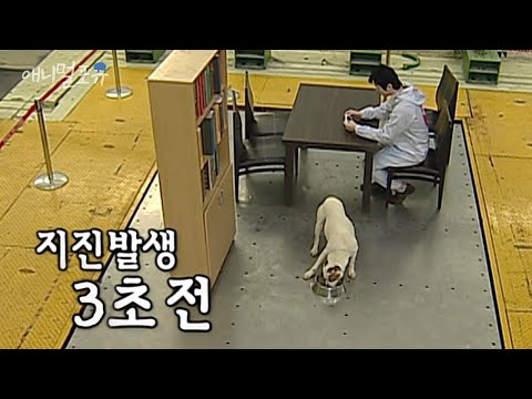 아이콘