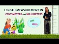 Length Measurement in Centimeters and Millimeters | Length in Centimeters | Length in Millimeters