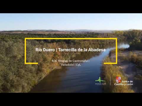 El río Duero - Torrecilla de la Abadesa