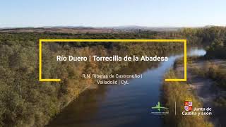 El río Duero - Torrecilla de la Abadesa
