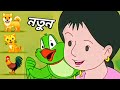 Meena Raju Bangla Carton ডায়রিয়া NEW