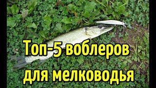 Лучшие воблеры на щуку для мелководья