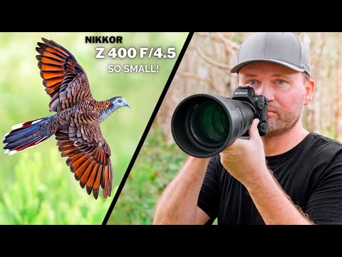 LIGHTWEIGHT POWERHOUSE Or UNDERWHELMING Choice? Nikon 400 f/4.5 vs the Competition! | Field Review