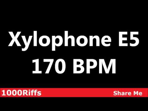 Xylophone E5 Metronome : 170 BPM ✓