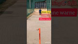 Shane Warne|stump🎯drill|legspin|#cricket #ytshorts 🆕#cricketshorts #legspinner #trendingshorts #80m