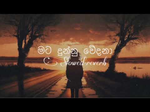 මට දුන්නු වේදනා | mata dunnu wedana (slowed+reverb) full song #slowed #sinhalaslowsongs