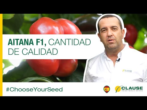 Video: AITANA F1