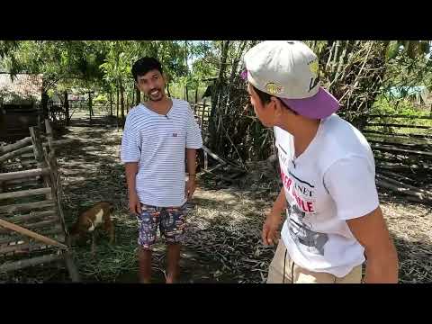 PROUD Ak Pay Nga Andres Sak