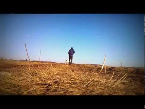 NYGUS - Beat 04 ( wideło )