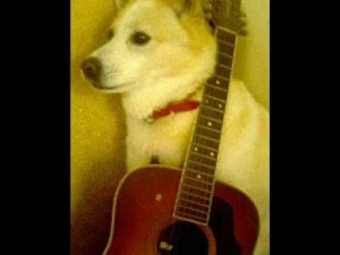 RALLY ROUND THE FLAG RY COODER COVER BY ONCHI