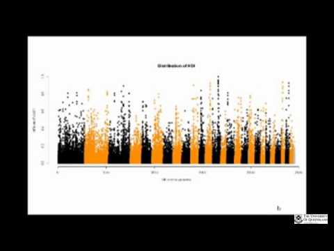 Sequencing Sheep Genomes to Uncover the Consequences of Domestication and Selection
