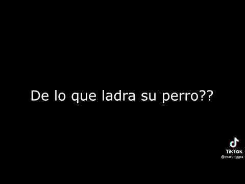y que wea queri que el perro esté Callao