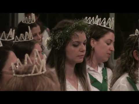 FLOR DE JASMIM - SÃO JOSÉ 2013 - FLOR DE JAGUBE