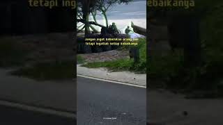 Download lagu Nasihat KH.Anwar Zahid || eling apike wong Ojo eleke mp3 Download lagu Nasihat KH.Anwar Zahid || eling apike wong Ojo eleke mp3