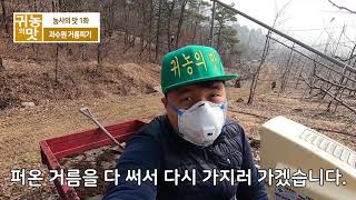 [귀농의맛] 과수원 거름피기 (feat. 시베리안 허스키 먹방)