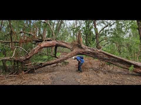 Cyclone Belal   Saint Felix beach