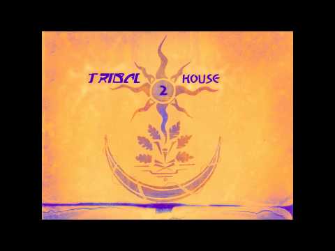 FEDERICO SCAVO VS. ERID - CAPOEIRA (MINIKING REMIX)