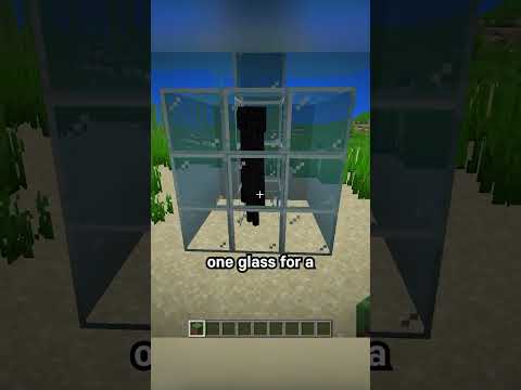 enderman torture #minecraft