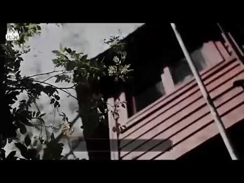 أنشودة إني ذكرتك فاخضرت بساتيني