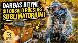 Bičių paruošimas žiemai