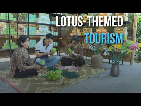 Turismo com tema Lótus |