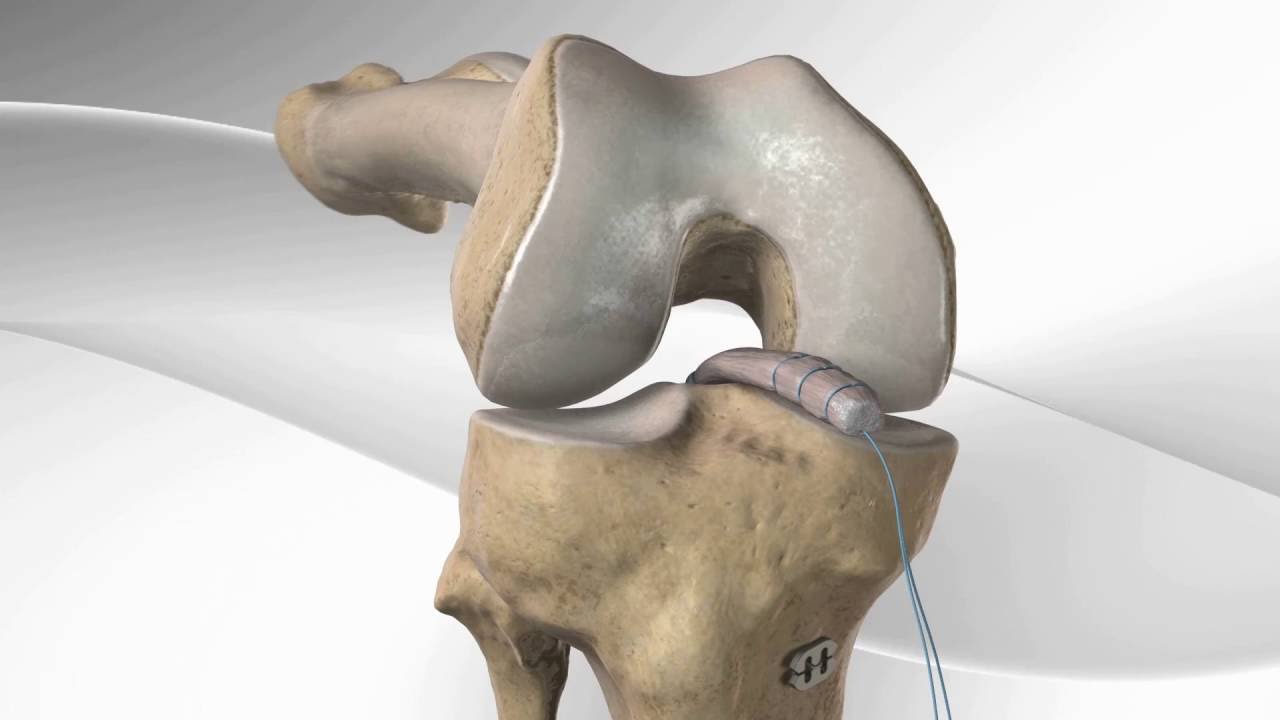 Pedro Gouveia Bastos-24