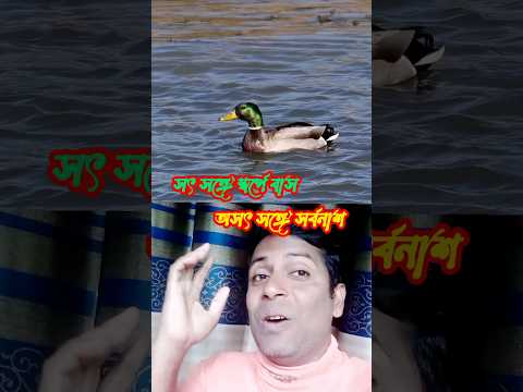 কথায় আছে সৎ সঙ্গে স্বর্গে বাস আর অসৎ সঙ্গে সর্বনাশ #multiple chenel #technology #duet #viralvedio