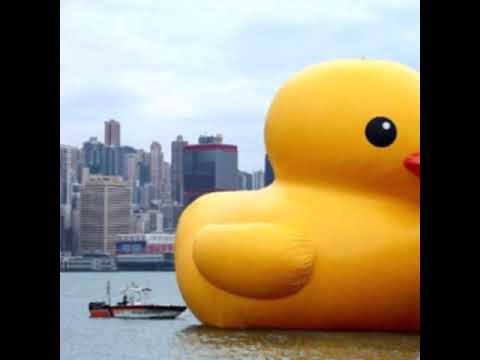 ASToR - Los Patos Son Azules En Primavera (Audio)