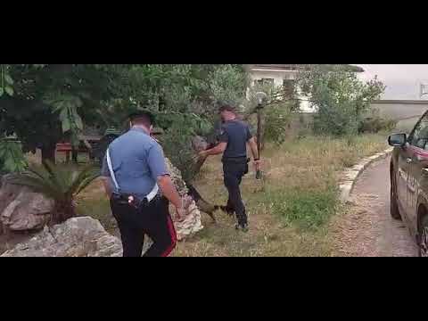 operazione antidroga Carabinieri