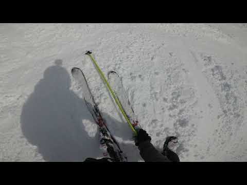 200308 Run 9 Blueslip Bowl