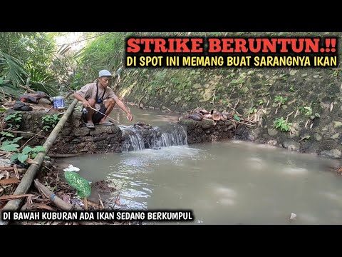 REJEKI.!! MANCING DI GORONG GORONG DI BAWAH KUBURAN || STRIKE BERUNTUN SAMPAI LUPA PULANG BRO