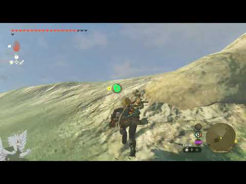 Tears of the Kingdom - Part 19 (Finished Penn's Quests and General explore)