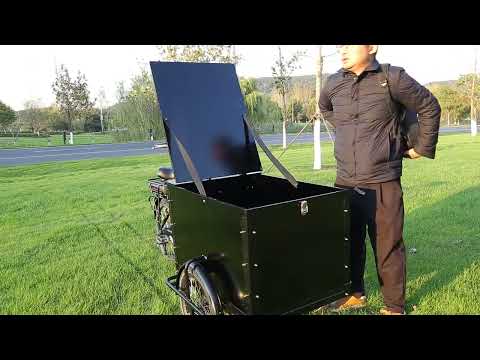 KK6010 Family Cargo E Trike