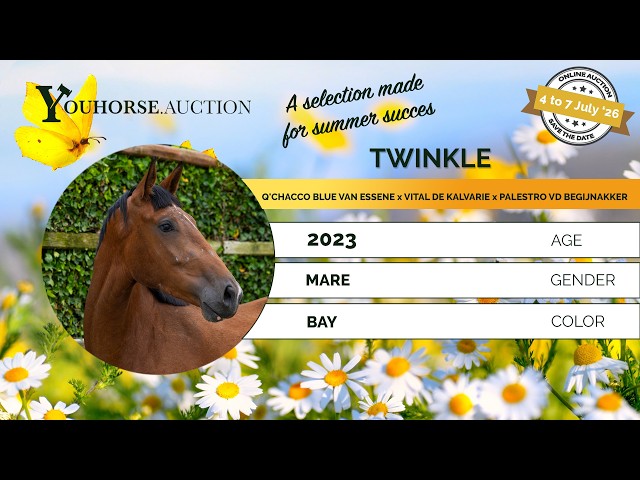 Twinkle