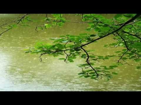 Jacques Houdek - Kao kise kap (lyrics)