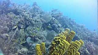 preview picture of video 'Diving in Phillips Dive Park in Guantanamo Bay, Cuba'